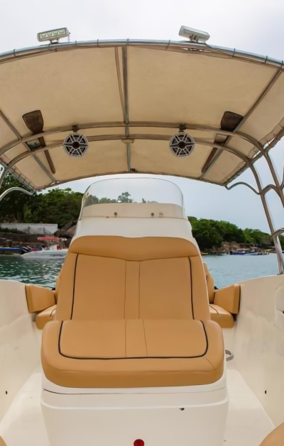 29 ft Joy Sport Boat